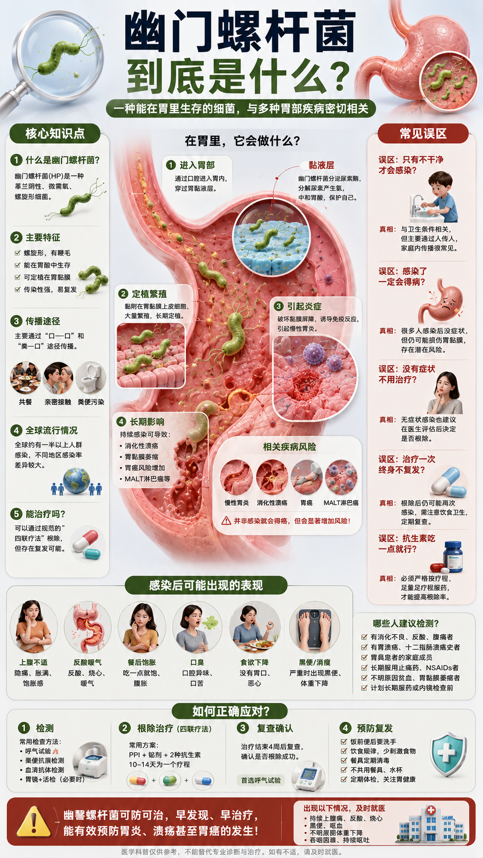 幽门螺旋杆菌图解