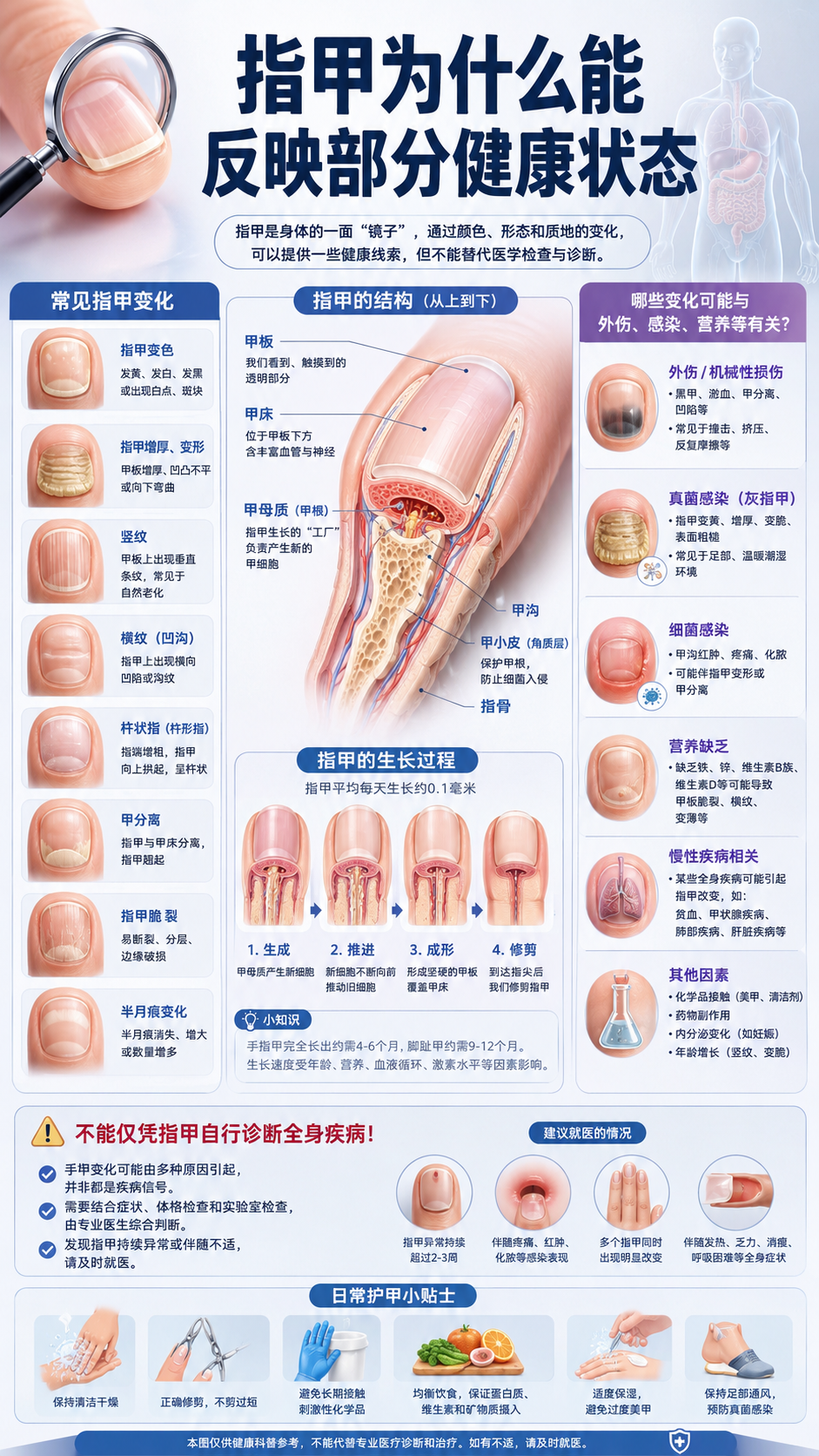 指甲健康图解