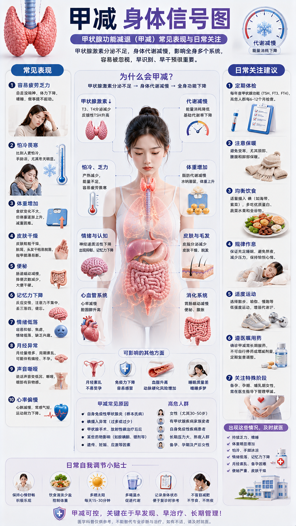 甲减图解