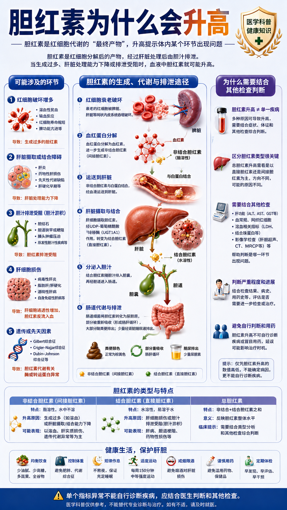 胆红素图解